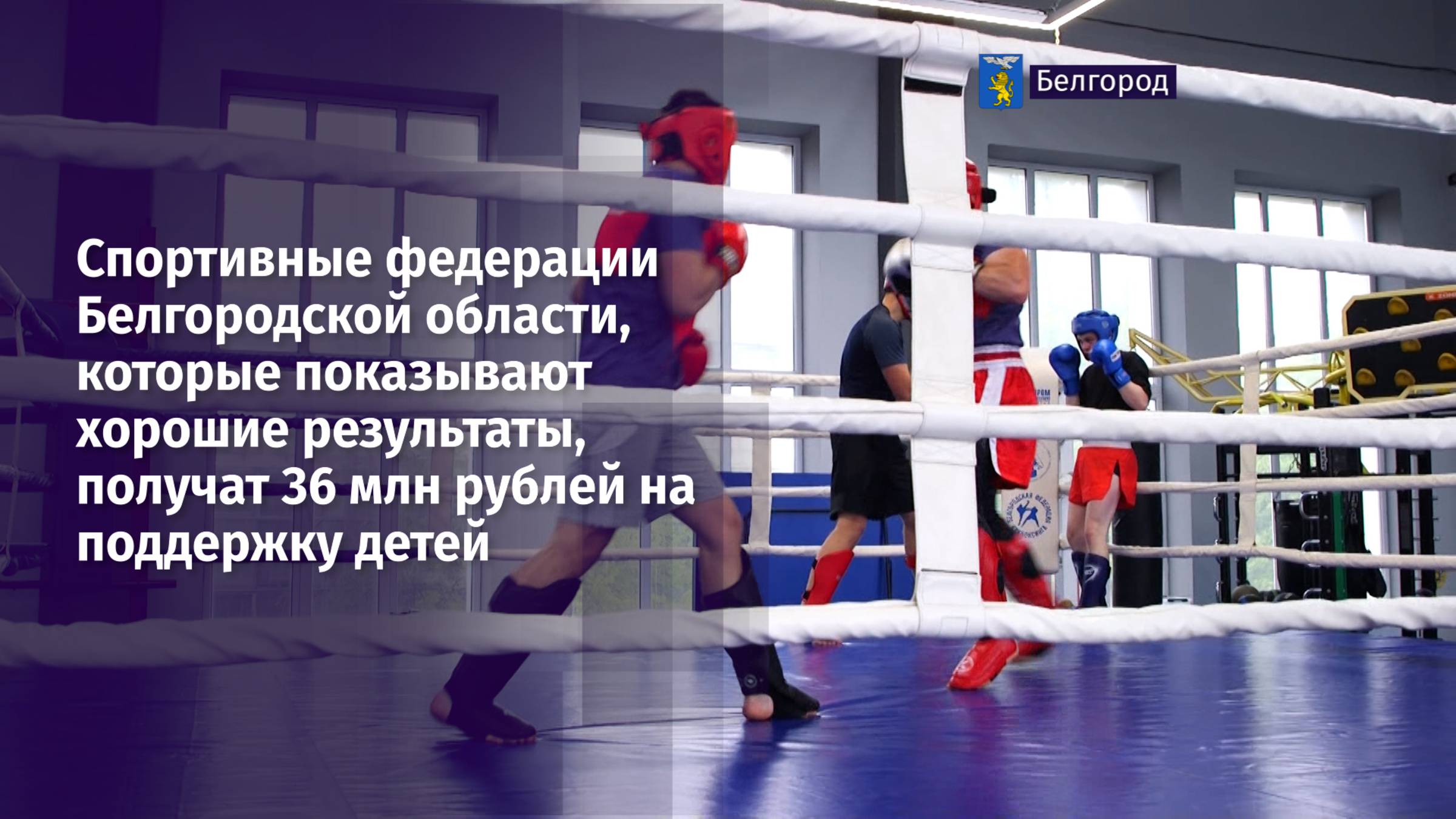 Куда направит 36 млн рублей Федерация кикбоксинга Белгородской области?