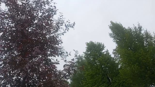 прогулка по городу Новосибирску набережная