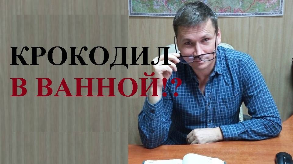 ⛔🐅🦍🐒 Каких животных нельзя содержать дома...