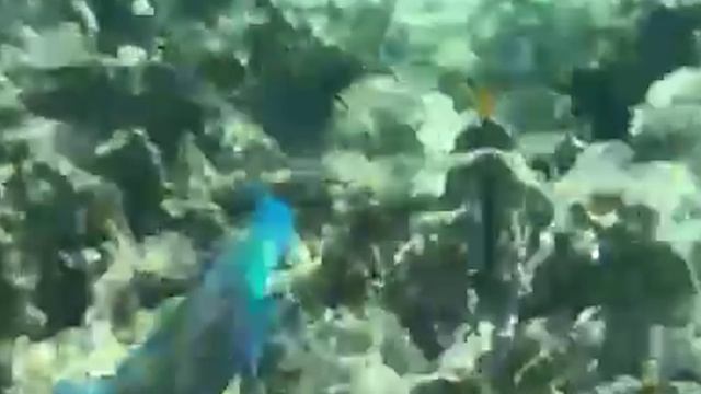 настальгия_1