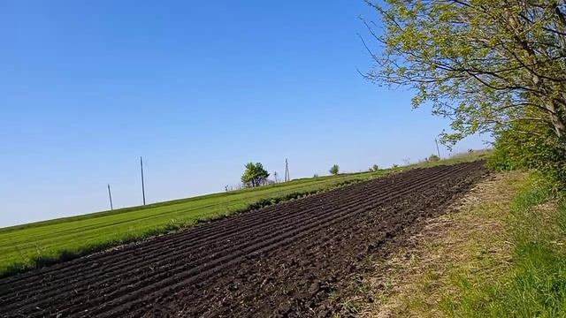 кто бы у нас раскомаривал