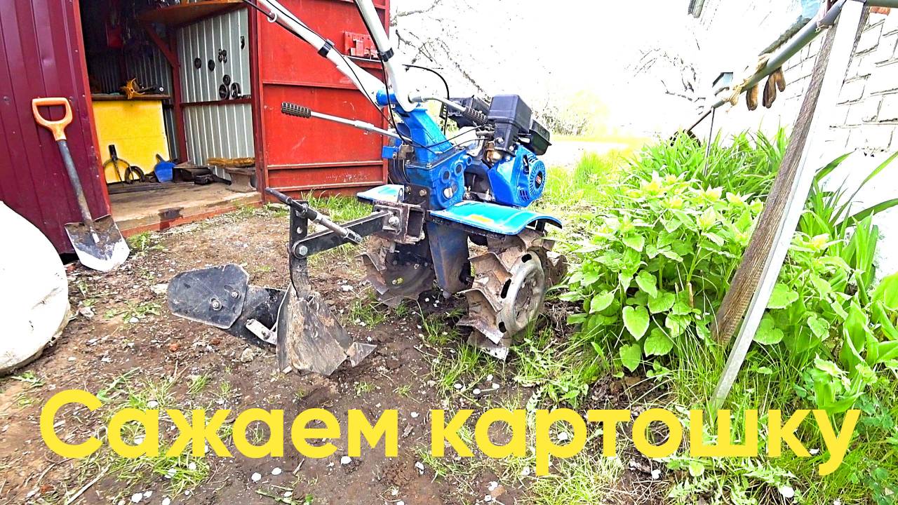 Сажаю картошку при помощи мотоблока, легко и просто.