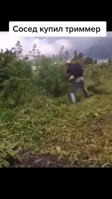 Нет, ну дает сосед