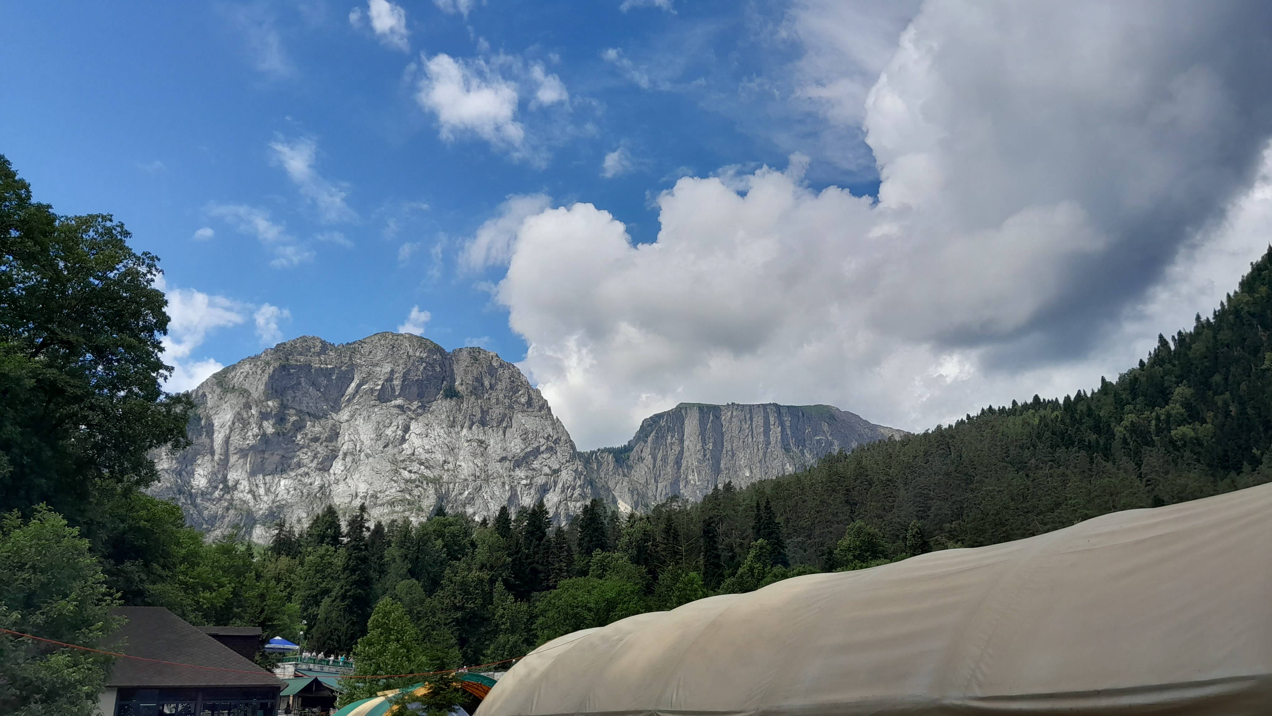 Просто решил отдохнуть #SONIK