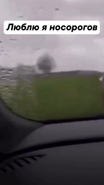 Последствия ДТП могли быть хуже