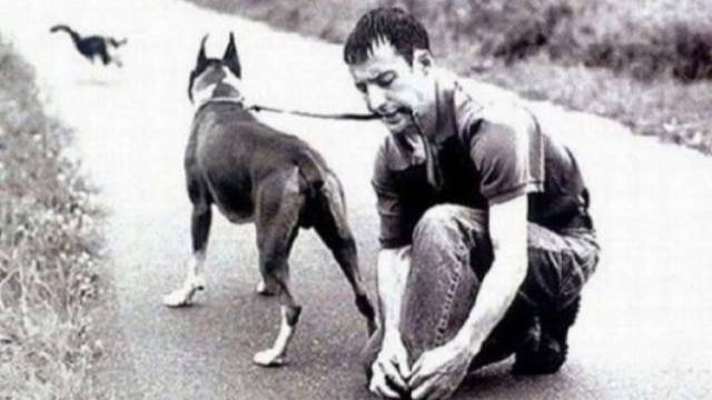 Умнющий собакен!🤍🐾