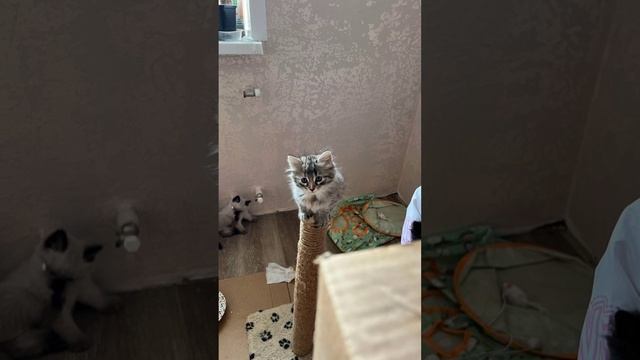 некоторые моменты моей жизни 😘💝🤭
