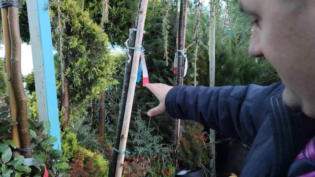 Крымский уникальный питомник Добрый Жук