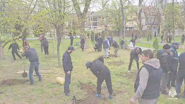 Международная акция «Сад памяти»