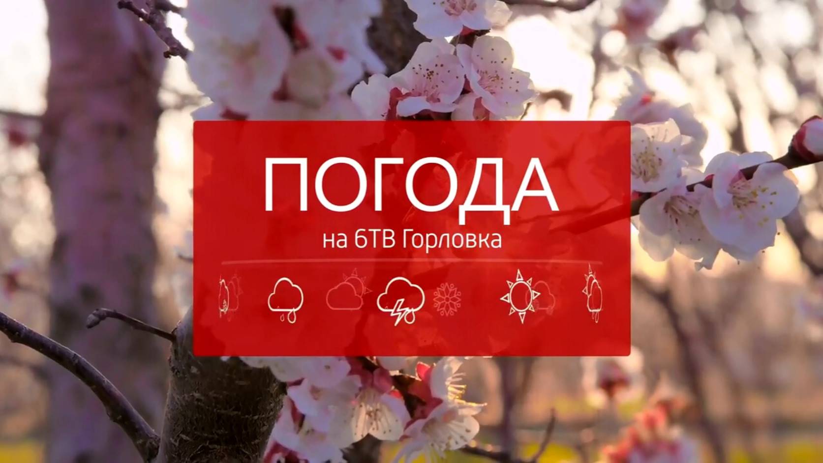 Погода на телеканале 6ТВ 16.05.2025г.