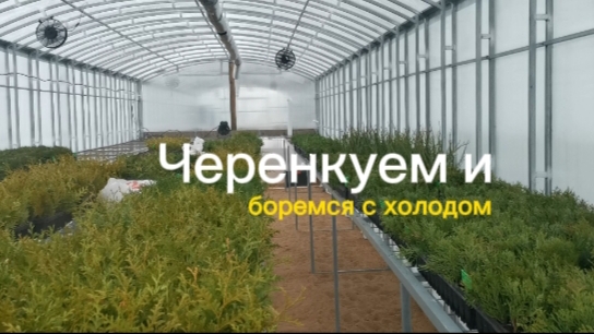 Начало положено...