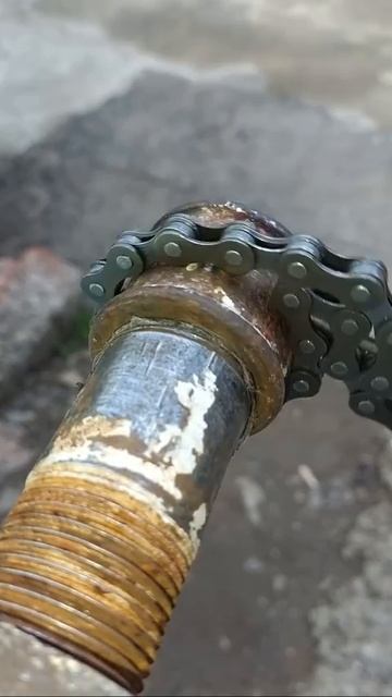 Полезно? Ставь — 👍