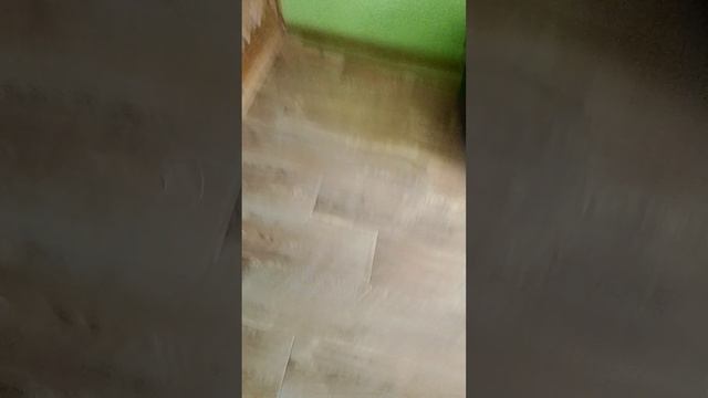 приключения по моему району седьмая часть