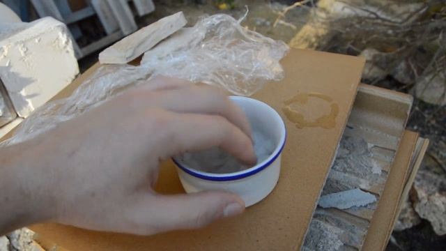 Как правильно проращивать семена Бонсай Growing Bonsai From Seed!
