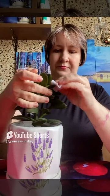 #сколько всего детей #шесть #🤣🤣🤣 Или 8.mp4