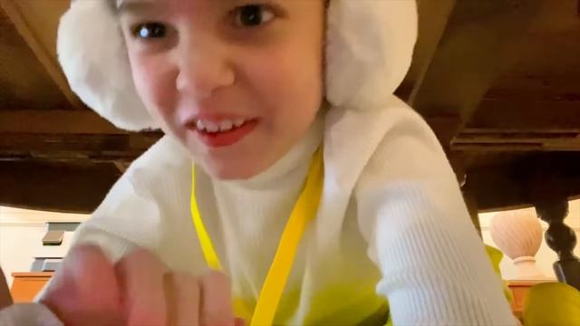 Мистер Макс Прятки во дворце с Максом и Катей