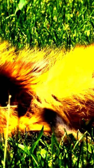 Камера сняла загадочный момент