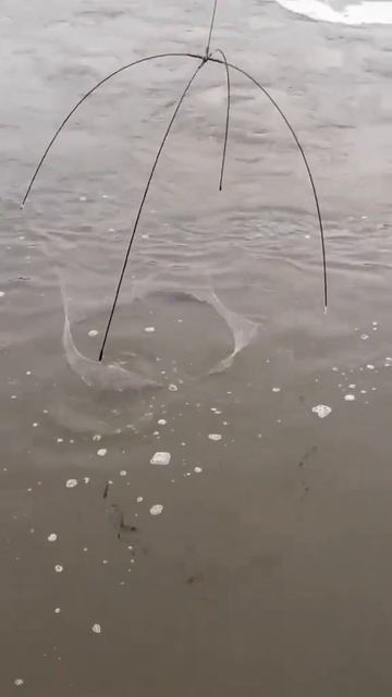 Неплохо поймал #рыбалка #fishing #рыба #ловим #прикол #юмор