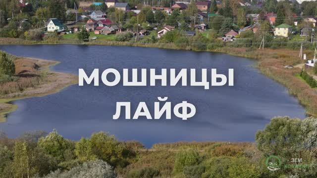 Мошницы Лайф