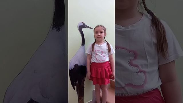 стерх
