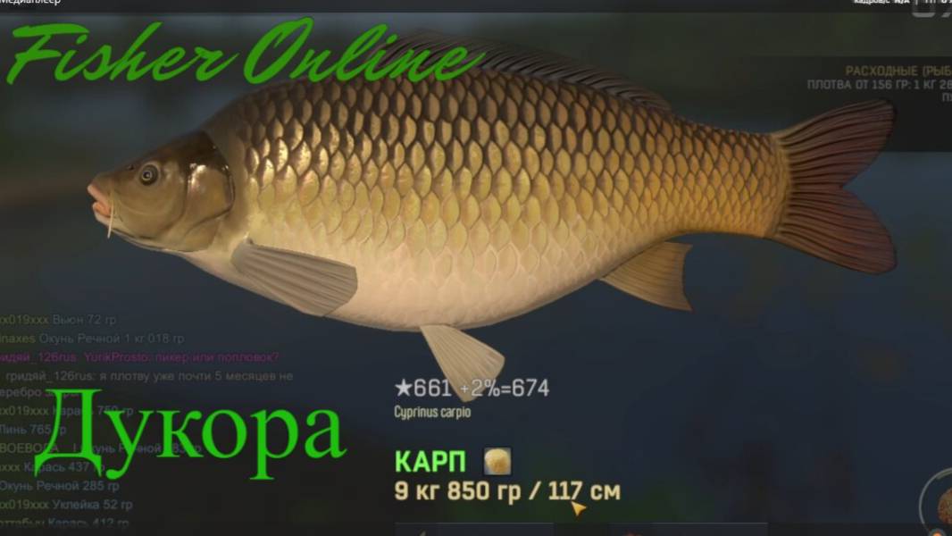 Fisher Online пруд Дукора