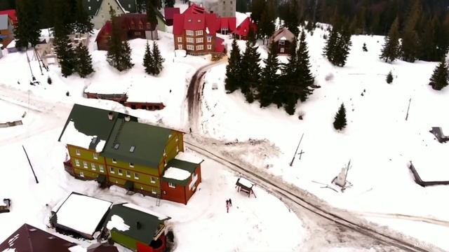 DRAGOBRAT • 2019 / Драгобрат с высоты птичьего полета
