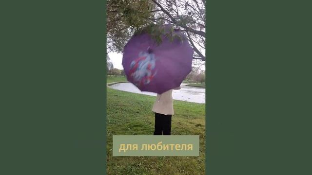 Тест драйв зонта с росписью на дождеустойчивость и ве?