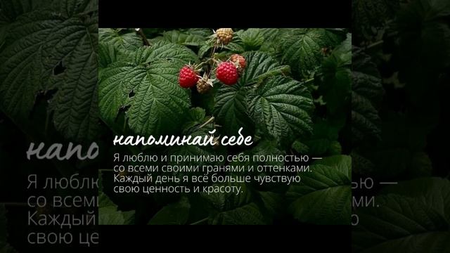 Нужные цитаты