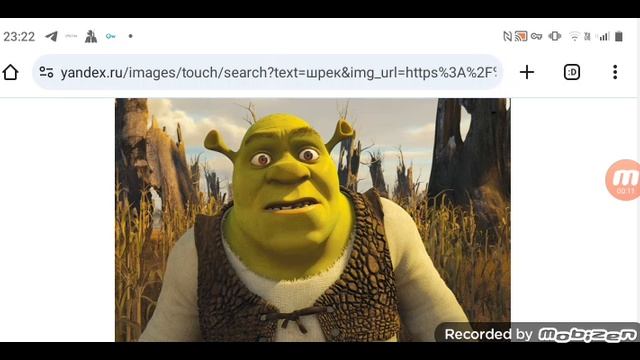 КРИВОЙ КЕФИР: Шрек на грани жизни и смерти 15.05.2025