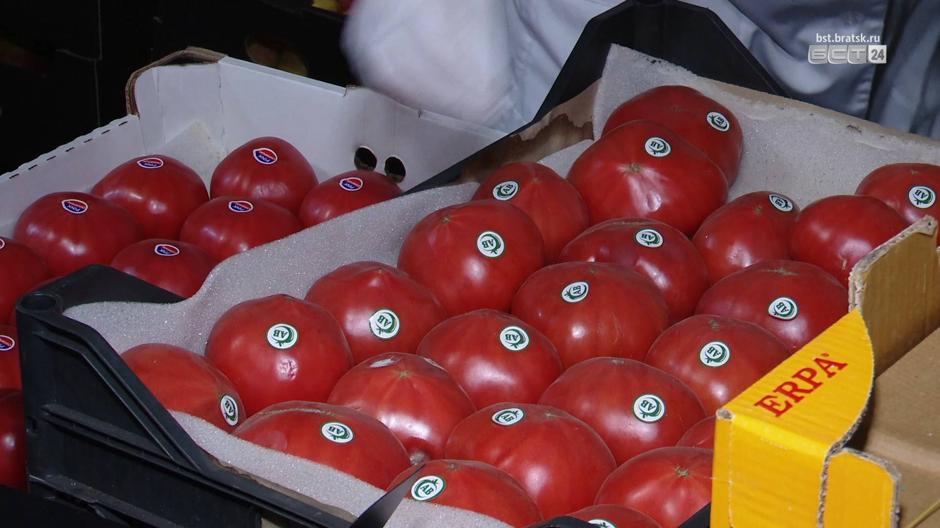 Россельхознадзор в Братске выявил в импортных томатах и фруктах вирусы и вредителей