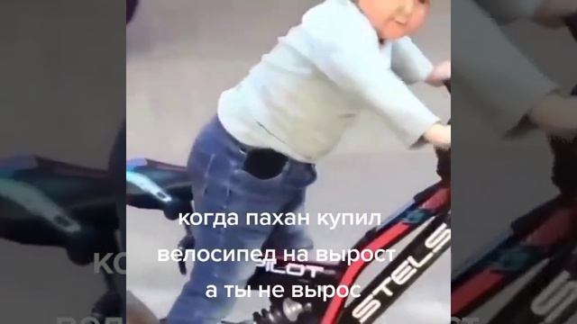 Нет слов