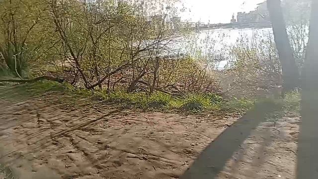 1000010307.mp4