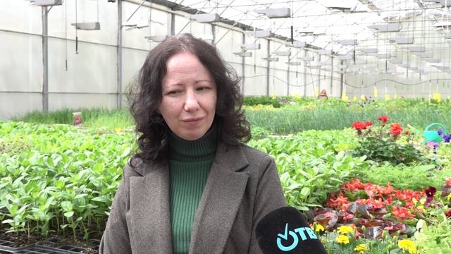 Город станет красивее