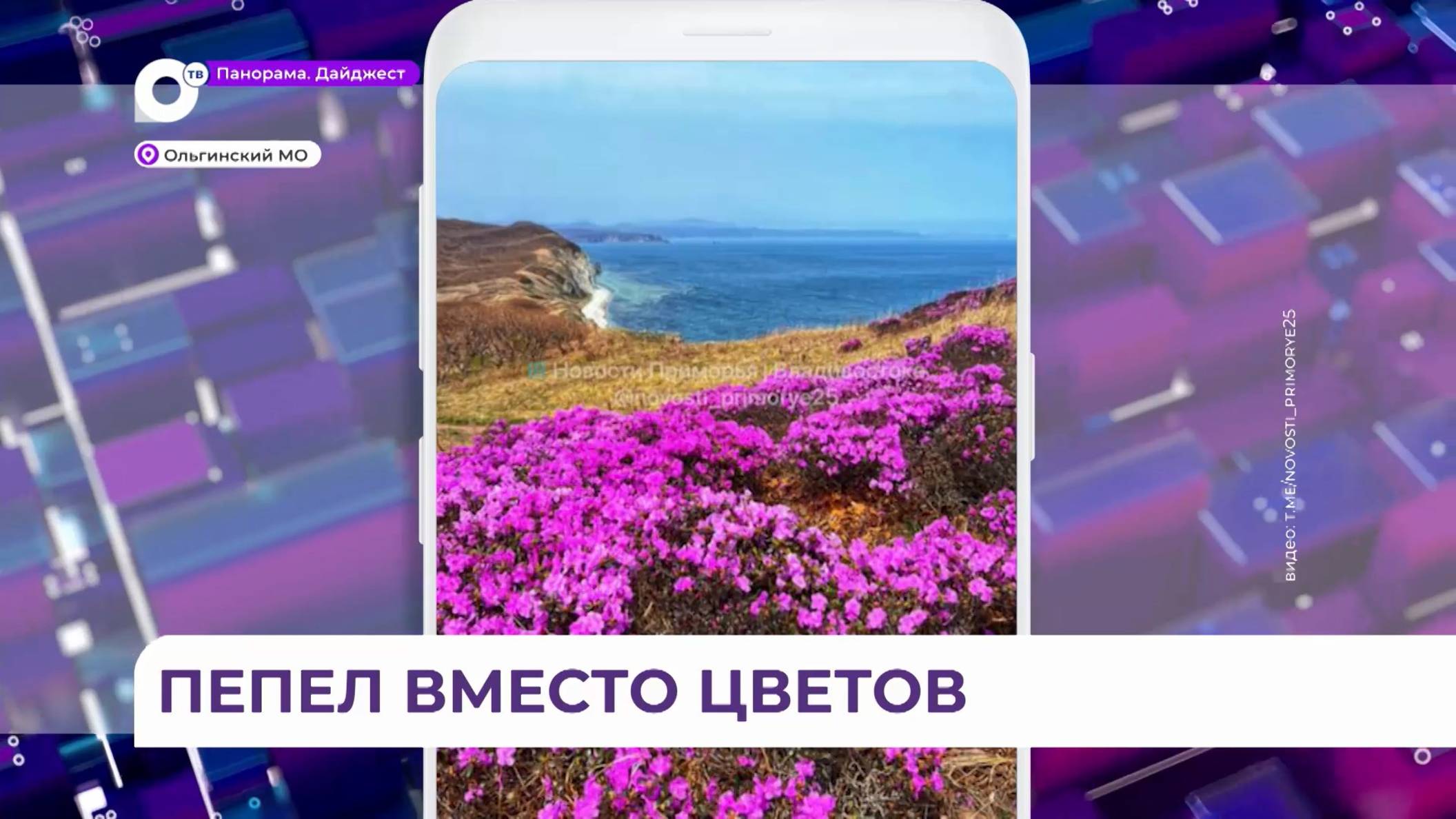 Поджог уничтожил рододендрон недалеко от маяка Балюзек