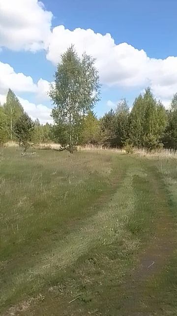 VID_20250514_113023.mp4