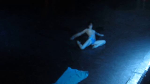 Дина Галкина APHRODIZIAC 2012 (Erotic show соло профи)