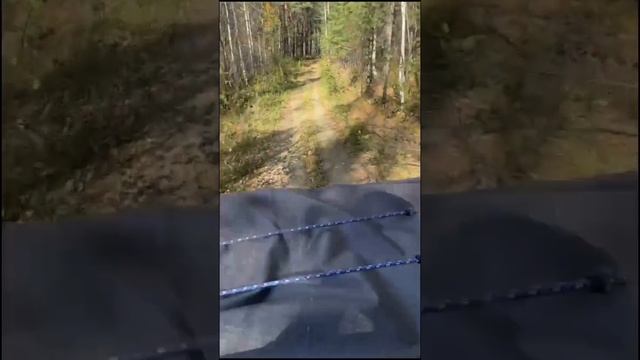 Посещение горы Аракульский шихан ( Челябинская обл.)