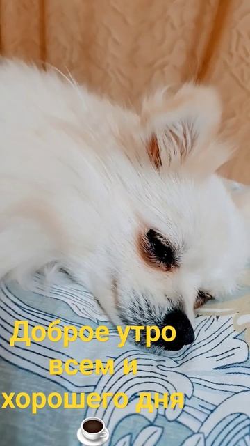 8 ноября 2023 г.