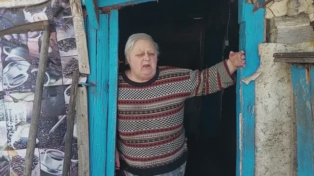 Татьяна Ивановна и ее кошки.