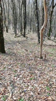 Сложный поход за подснежниками #новороссийск #поход #trip #travel