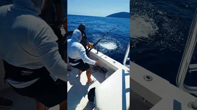 Здесь не только отдыхают, но и побеждают! Рыбалка в Сре