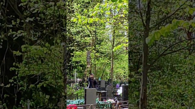 Удаление аварийной берёзы на кладбище 2