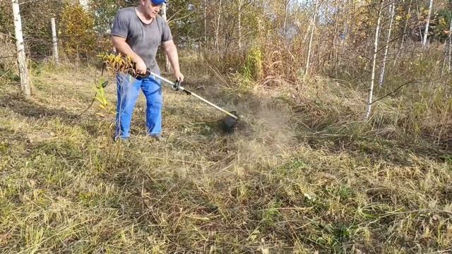 Обычный покос