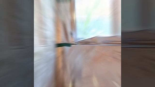 1000023809.mp4 (Собака наблюдает за утеплением нового дома А-фрейм)