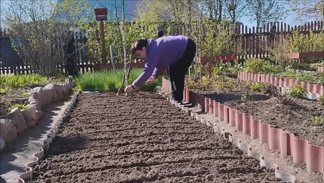 ОТКРЫЛИ ПОСЕВНОЙ СЕЗОН