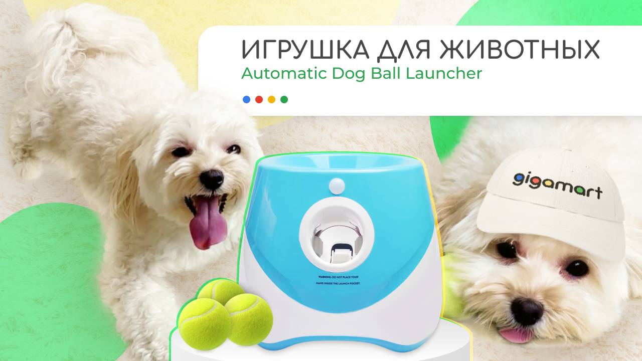 🥎Бесконечная игра в мячик | Automatic Dog Ball Launcher