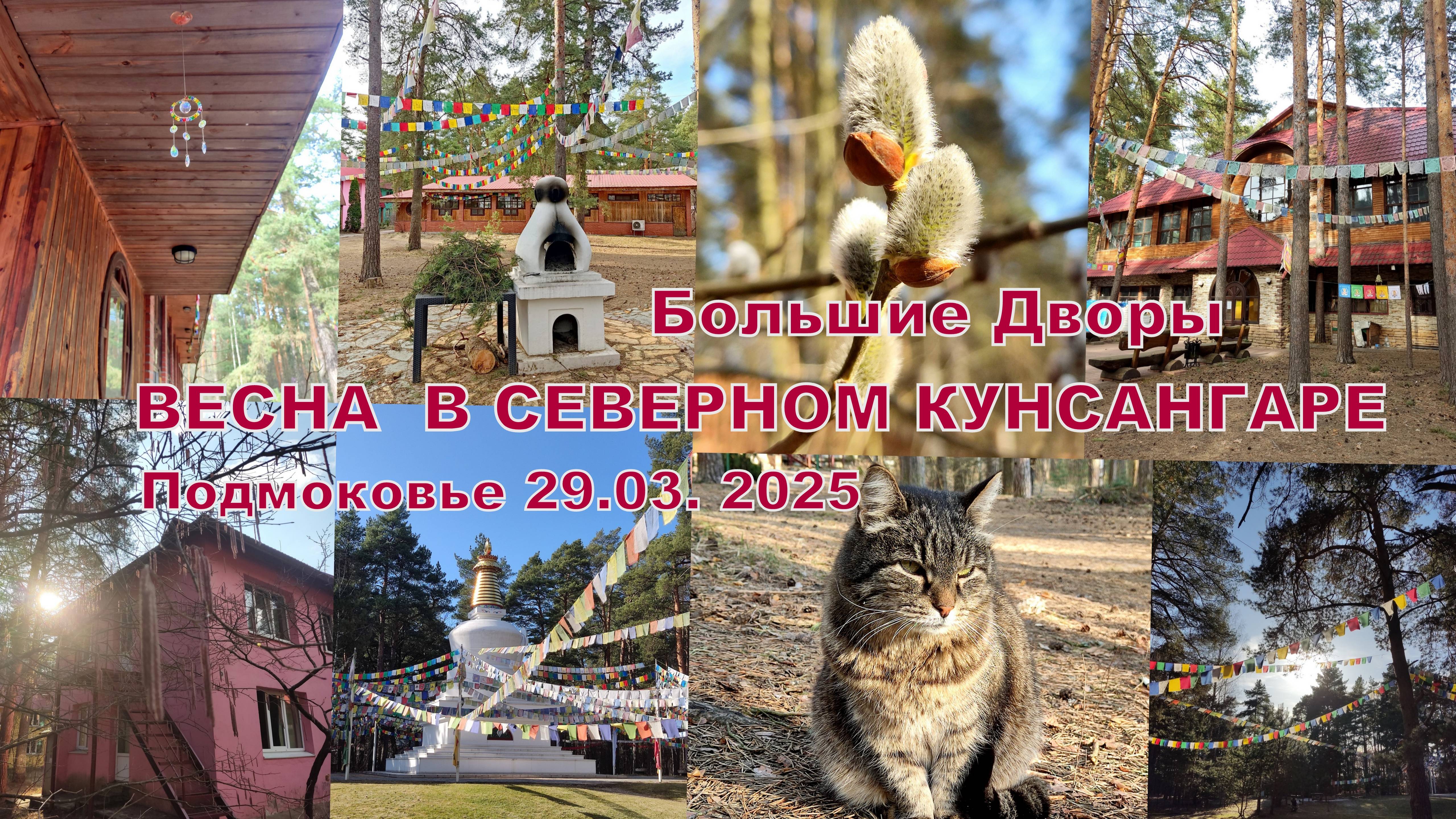 СЕВЕРНЫЙ КУНСАНГАР ВЕСНОЙ. МАРТОВСКИЙ ОБЗОРЧИК. Большие Дворы. Подмосковье 29.03.2025