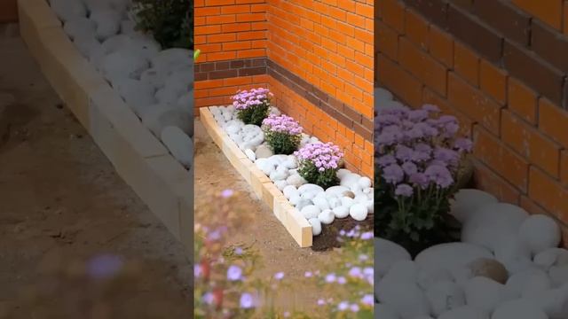 Полезные советы для дома