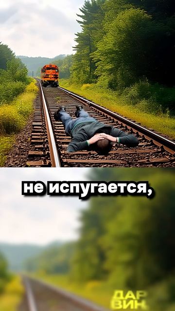- Кто это там на путях？ - Да никто, проехали...