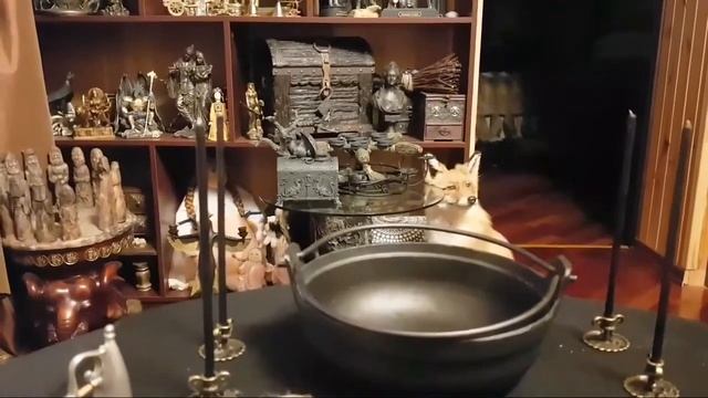 ХАН КАРАВАН... ОТ ТРАВЛИ